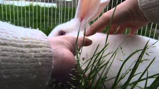 T&#39;es sûre ? Vraiment pas ?