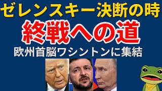 【ウクライナ情勢最新】ゼレンスキー大統領 ワシントン会談！トランプ・プーチン和平合意でウクライナ戦争終結なるか？領土交換 ドンバス割譲？停戦合意と和平合意の違い、ウクライナのNATO加盟などを解説