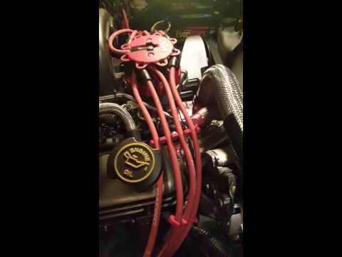 1988 Mustang Foxbody 5.0 Gear Drive. First startup.