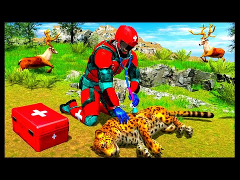 Animals rescue robot hero /animal rescue 3d doctor pet valley by game valley