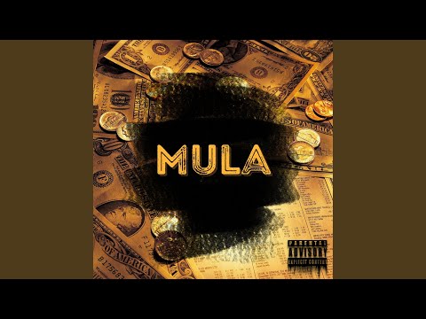Mula