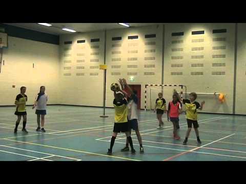 DIE HAGHE D3  -  DE MEERVOGELS  D2