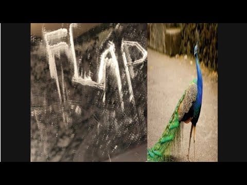 SHIT 2022 prod. FLAP PEACOCK