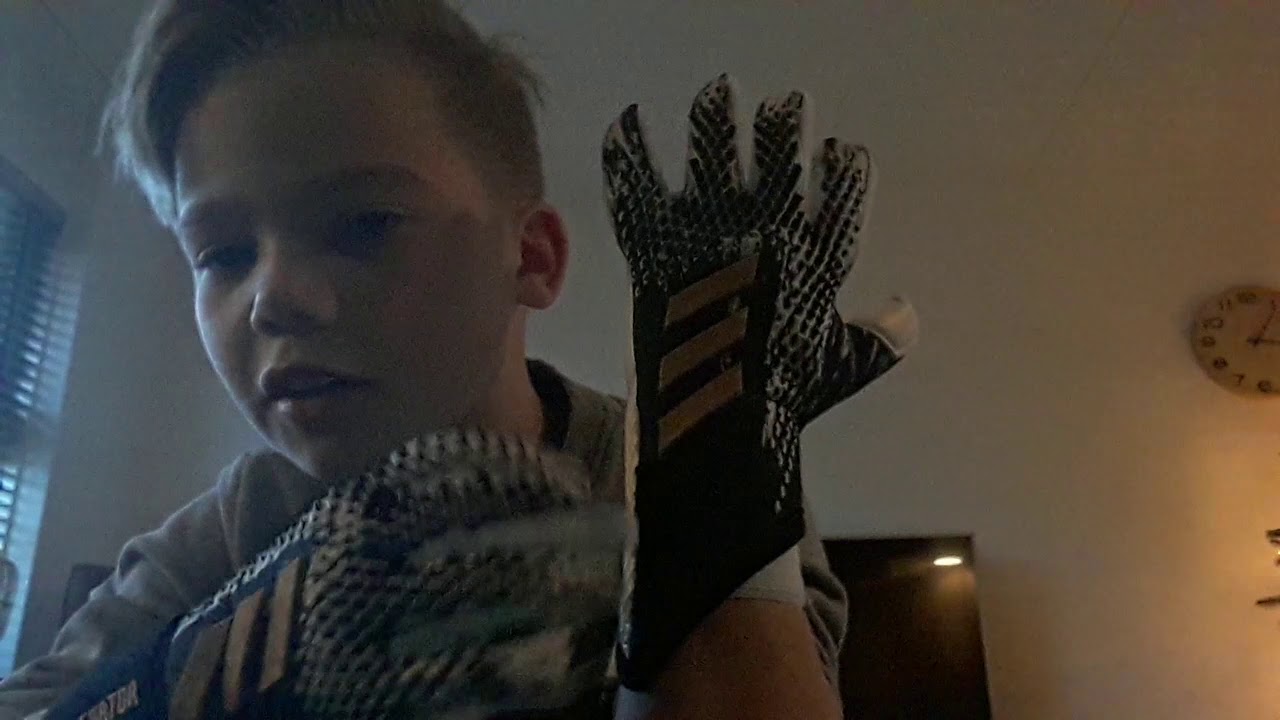 keepershandschoenen adidas predator pro gl laten zien
