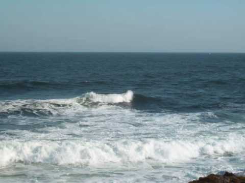 Merril Bainbridge - Love and Terror