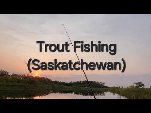 Trout Fishing (Saskatchewan)