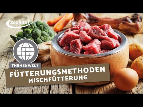 , title : 'Fütterungsmethoden | zookauf Heimtier TV'