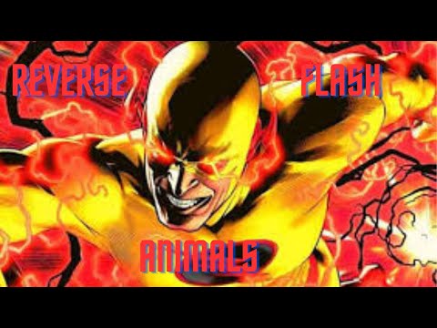 Reverse Flash Edit Animals - Maroon 5