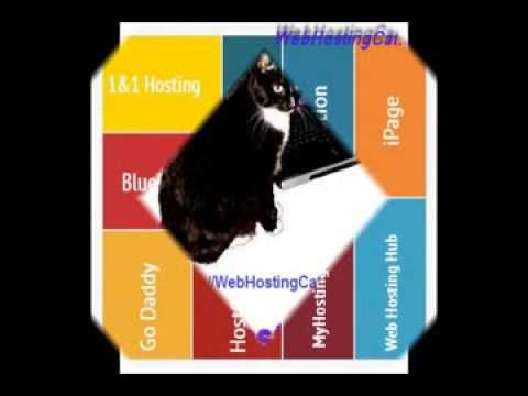 download lagu mp3 mp4 Web Hosting Cat, download lagu Web Hosting Cat gratis, unduh video klip Web Hosting Cat