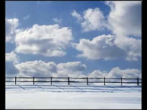 Dizzastar - Mrkvožrout