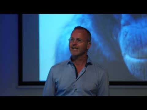 Patrick van Veen -  It is all about MONKEY BUSINESS