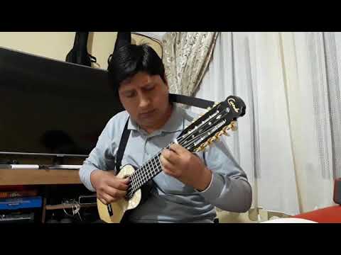 ATRAPADORITA (En charango) CUECA