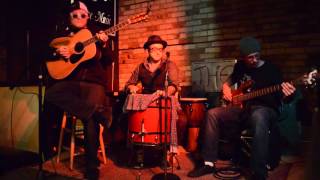 Average Mammals- Our Fate (live acoustic)