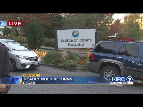 VIDEO: Seattle Children's shutting down operating rooms for dangerous mold