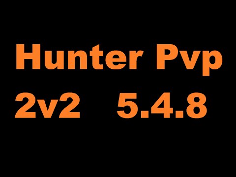 Hunter 5.4.8 2v2 arena