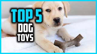✅ Top 5 Best Dog Toys 2026