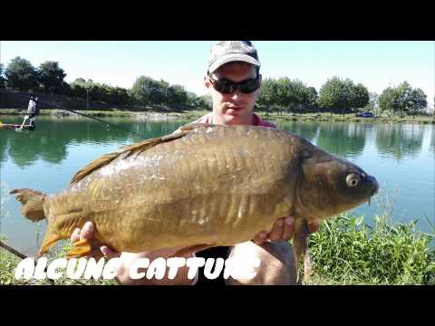 #carpfishing - Carpodromo Montirone ( BS )