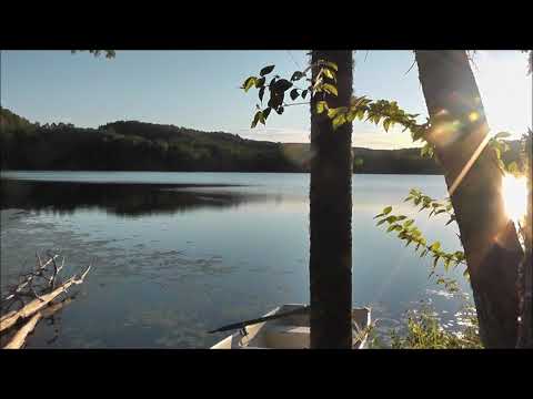 තොටුපොල අයිනේ Thotupola Ayne   Victor Rathnayake