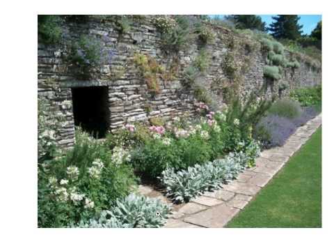 Planting Design Lecture