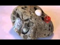 Push A Magic Button Song