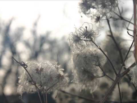 IM△GINE - If I Still Feel - Lay Your Hand In Mine (Audio)