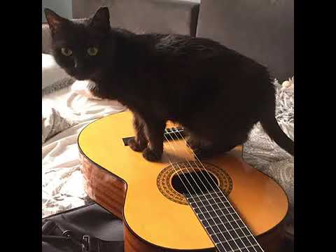 Michał Wojtek - To nic złego (gitaruwka)