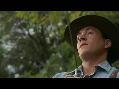 Airstream - Céline Roscheck