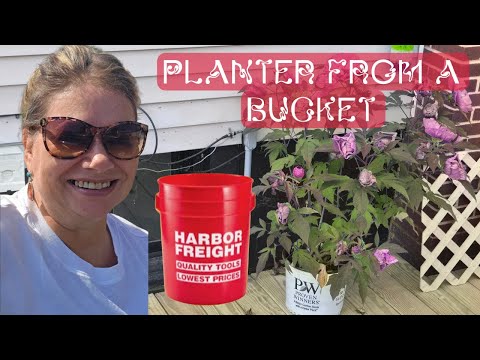 Tuesday Talk Planter from a Bucket
