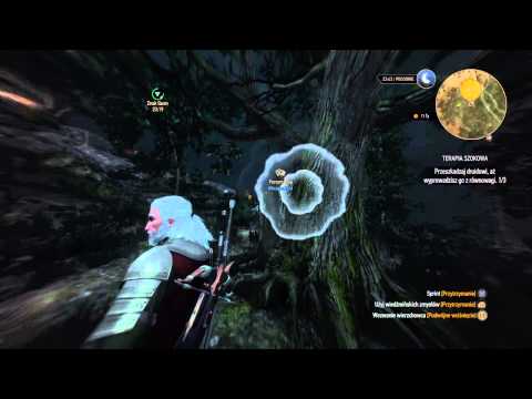 Wiedźmin 3: Dziki Gon - Terapia Szokowa