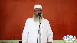 صورة ورع الشباب | الشيخ شوقي عبد الصادق