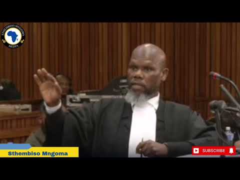 Senzo Meyiwa Trial: Caught Off Guard? Adv Ramosepele Puts Ndlovu on the Spot