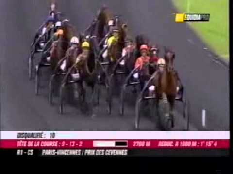 Prix des Cevennes 2010 -Punchy