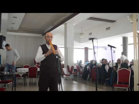 Радослав Станић - Двојнице