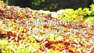 Babasonicos - Las Demás (Letra)