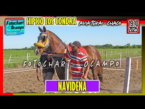 NAVIDEÑA Avia Terai CH 19 10 2025
