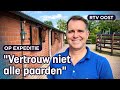 Onhandelbare paarden laten wennen aan een zadel: Gert doet het | RTV Oost