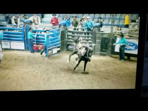 Lane Watt on C5 Rodeo's Mr. Twister Canadian Agribition 2018