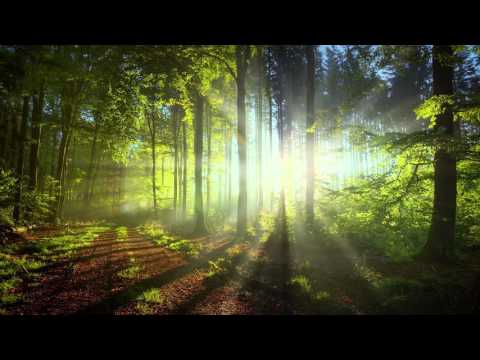 Jia Peng Fang. Relax mix by Arkan