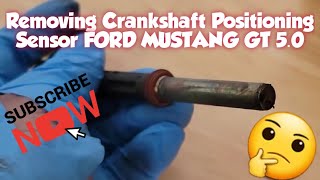 How to: Remove Crankshaft Positioning Sensor 2013 Ford Mustang GT 5.0