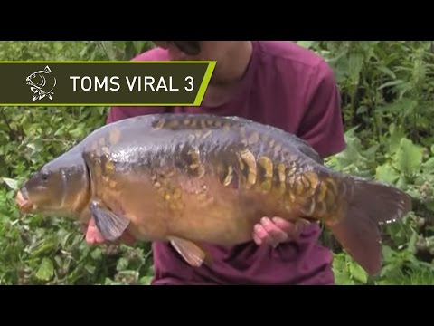 Carp Fishing Behind the Scenes at Nash Tackle - Tom's Viral 3 - Nash Bread Bomb & Ball Maker