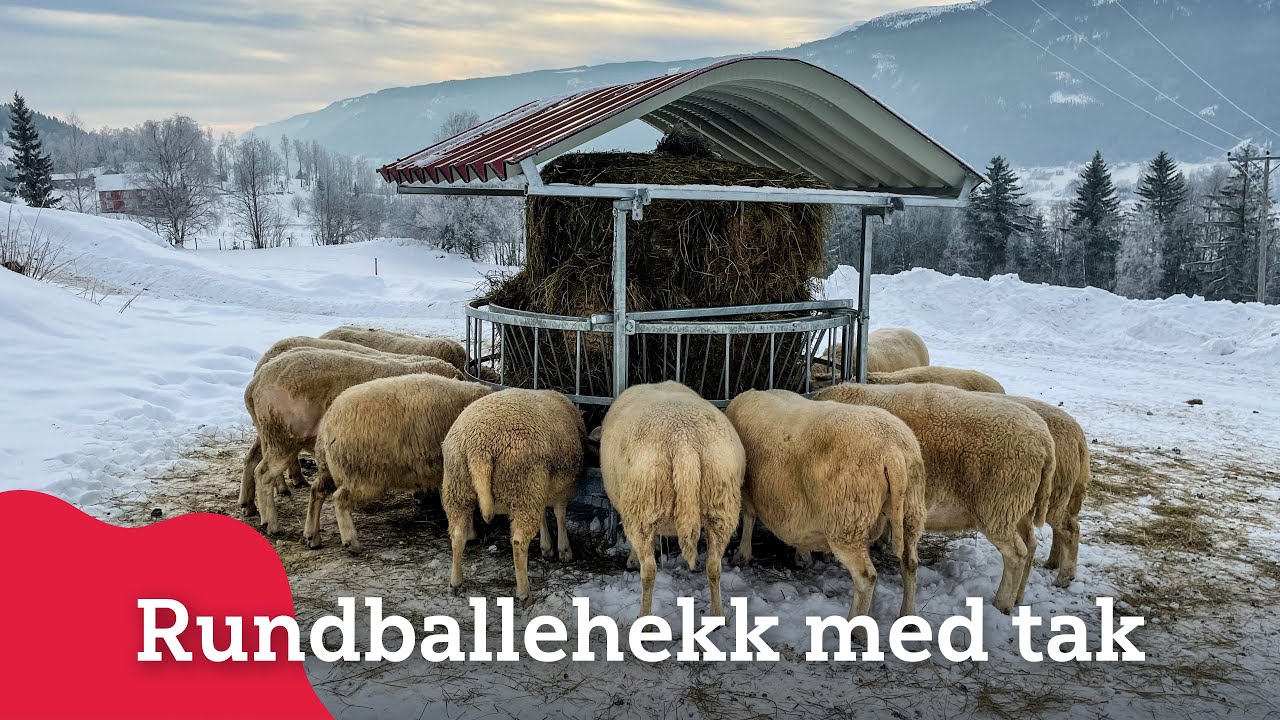 Tak til rundballehekk