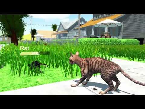 The Cat