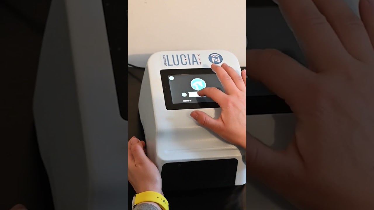 Newborn foal health check and antibody measurement