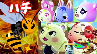 【あつ森】ハチに追いかけられてる時住民達に話しかけてみた！【あつまれどうぶつの森】【ちゃちゃまる・フランソワ・ブーケ・ジュンなど】