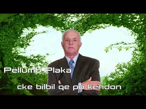 PELLUMB PLAKA - CKE BILBIL QE PO VAJTON..