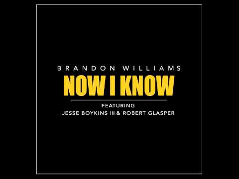 Brandon Williams - Now I Know (feat. Jesse Boykins III & Robert Glasper)