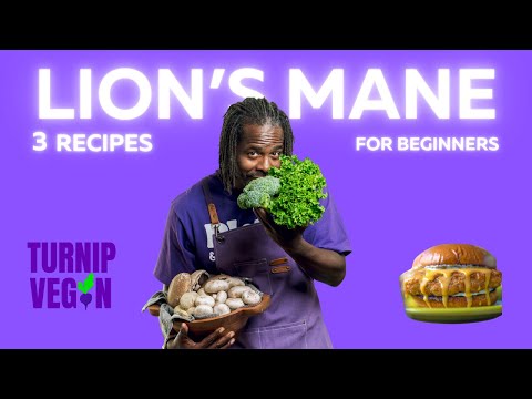 The Most Delicious Lion's Mane Recipes For Beginners!