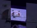 Sesame Street 7 Cats 2008