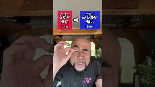 Download lagu most useful japanese adjectives ep-6 #japaneselanguage mp3