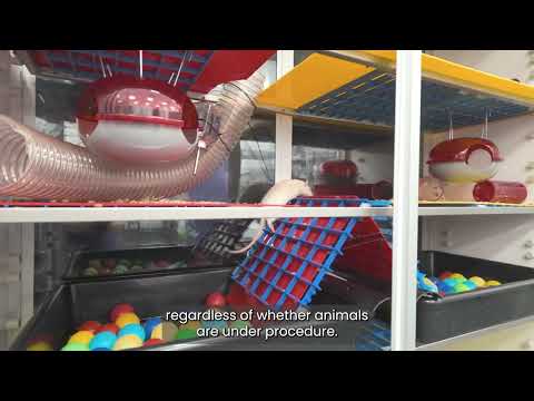 Step inside the lab play video